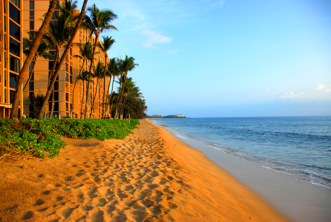 Hawaii Beach