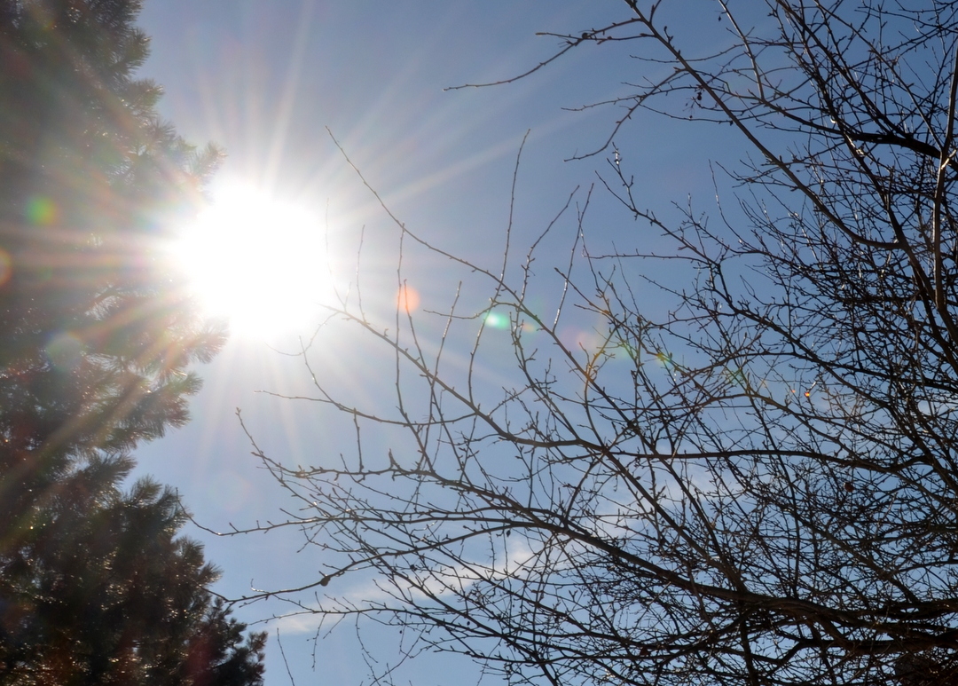 Winter Sunshine